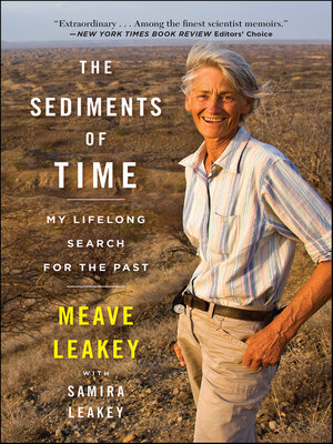 cover image of The Sediments of Time